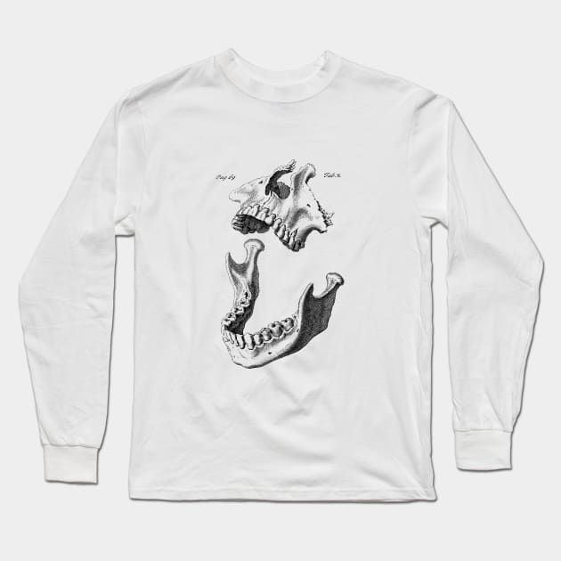 Bones of the Face Long Sleeve T-Shirt by cavalaxis